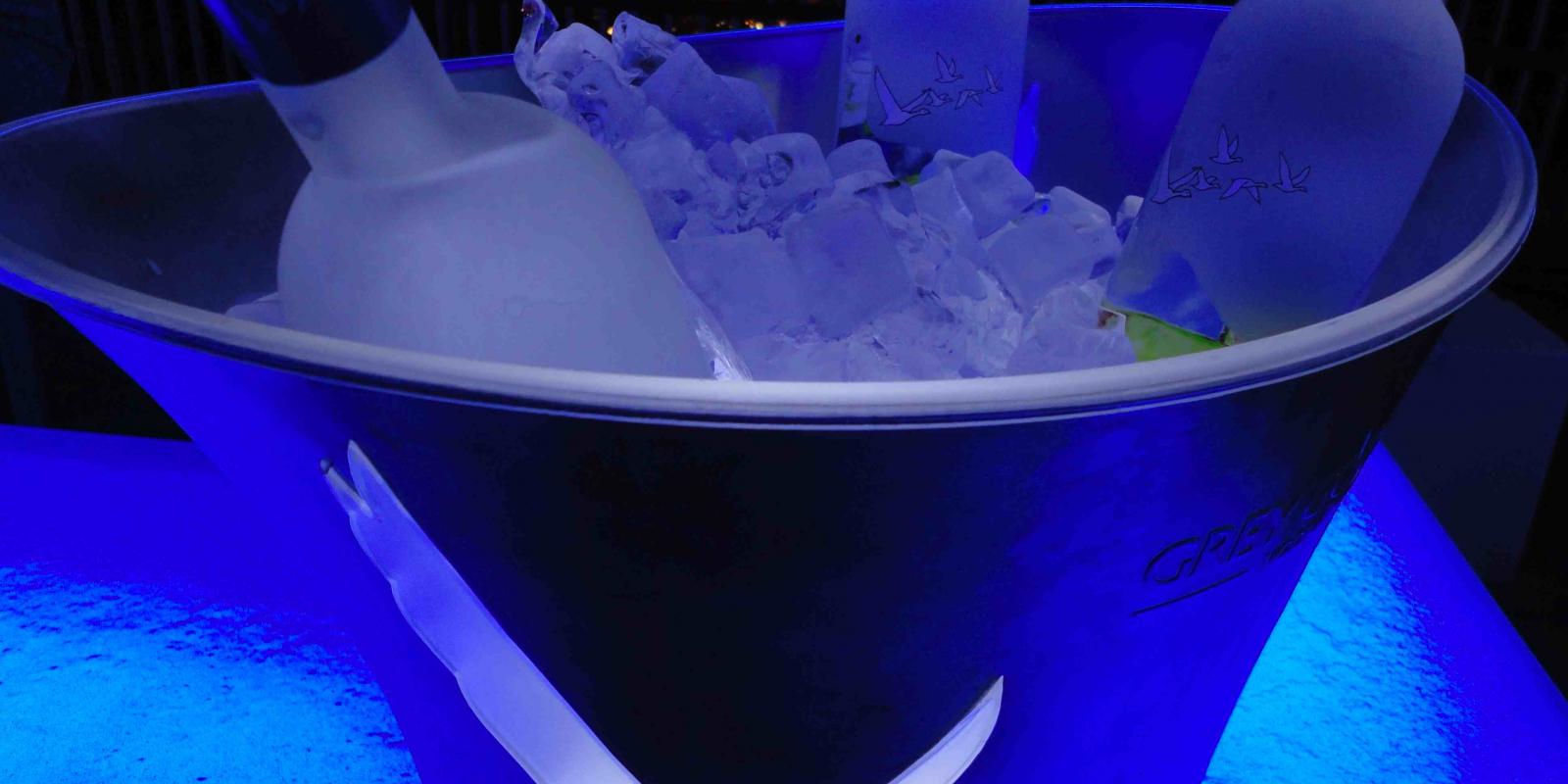 Image représentant le produit Grey Goose en grand format, pour mieux voir le produit.